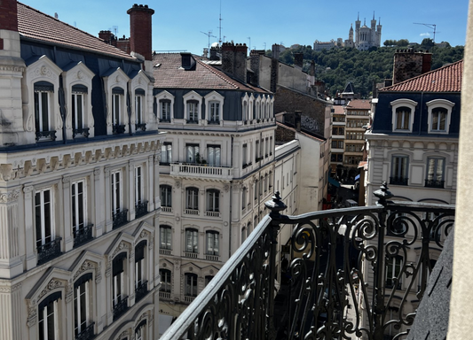 The Wonders of Lyon vs. Paris: A Tale of Two French Cities | Eve's Culture Club