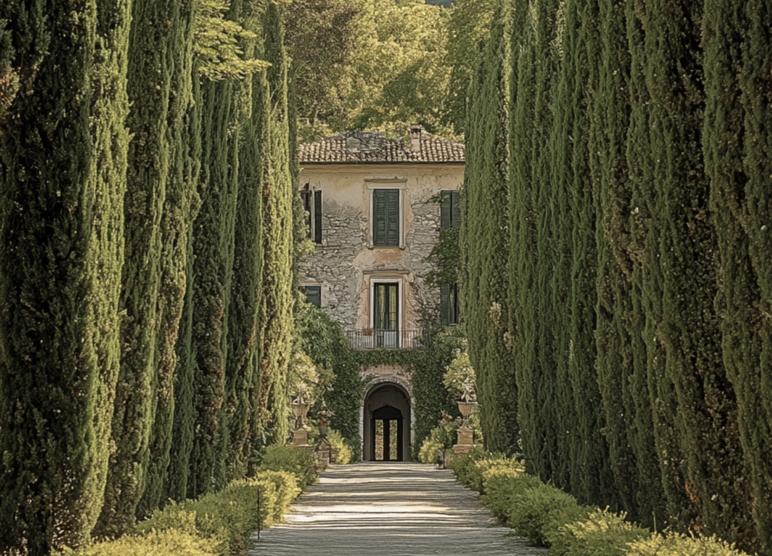 The Role of Wealth Managers in Crafting a Seamless Estate Plan | Wealth Unveiled