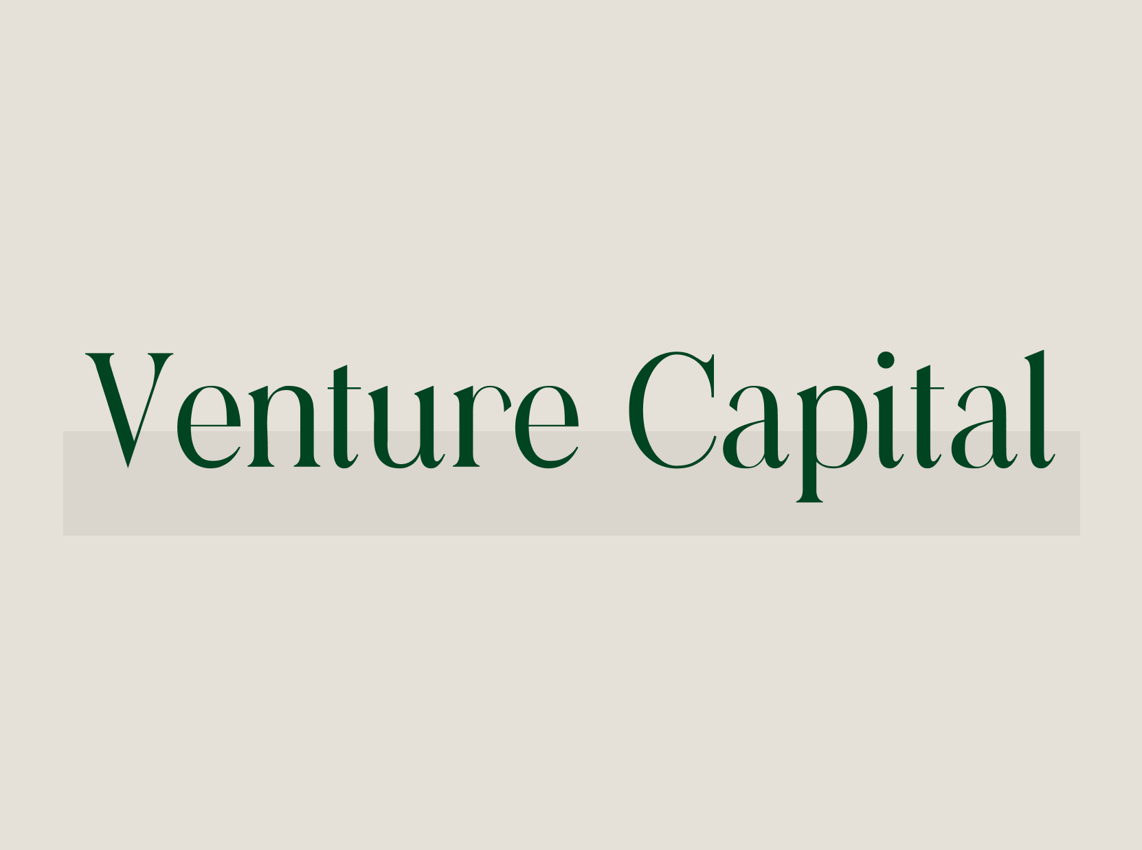 Venture Capital Guidance 